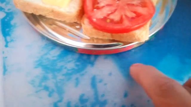 Жидкая плитка живая плитка живой стол