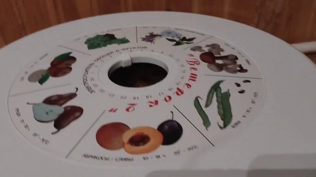 Рецепты с тыквой: вкусно и полезно