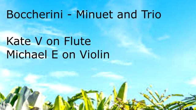 Boccherini Minuet and Trio for Flute and Violin смотреть онлайн