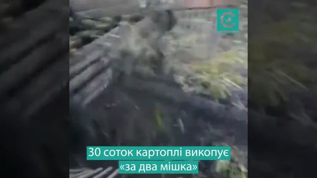 Трактор на дровах смотреть онлайн