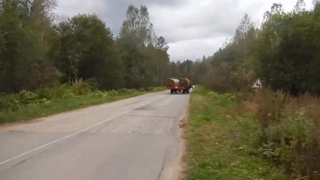 Африканская чума свиней в Петушинском р-не Владимирской области 17 сентября 2017 смотреть онлайн