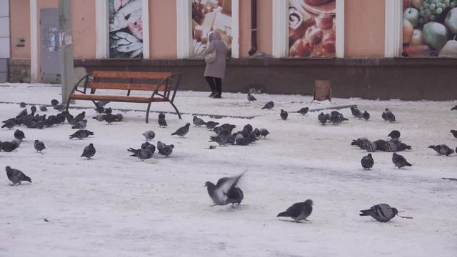 Тейково, город в котором я живу. смотреть онлайн