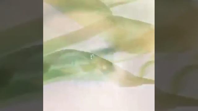 Новый парфюм Мэри Кэй смотреть онлайн