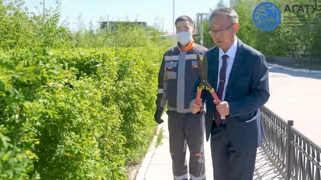 Ландшафтный дизайн территории АГАТУ смотреть онлайн