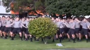 Боевой танец Хака Маори на похоронах учителя в Новой Зеланди