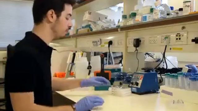 Folding & Characterization-Bio-Responsive Robot From DNA Origami l Protocol Preview смотреть онлайн