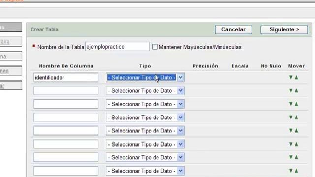 Instalacion Oracle 10g XE [Con ejemplos] 1-2 смотреть онлайн