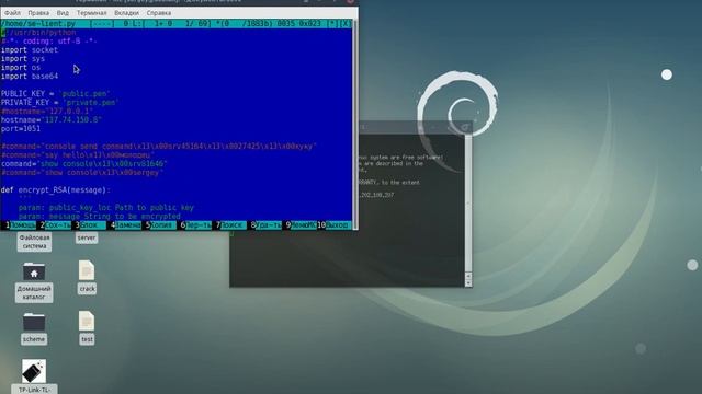 Python socket client-server exchange data смотреть онлайн