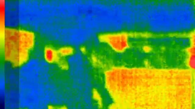 Seek Thermal video of rat смотреть онлайн