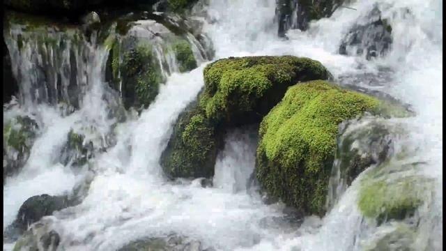 Секрет Истинного Счастья ч.14. Как Не Знать. Фрэнк Кинслоу ! смотреть онлайн