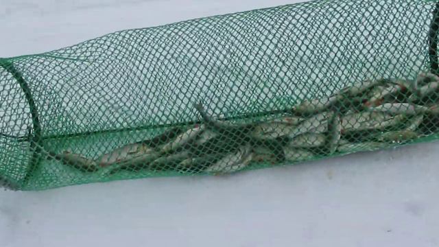 голавль зимой на Чусовой смотреть онлайн