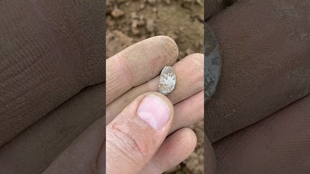 Много находок на поле в Калужской области смотреть онлайн