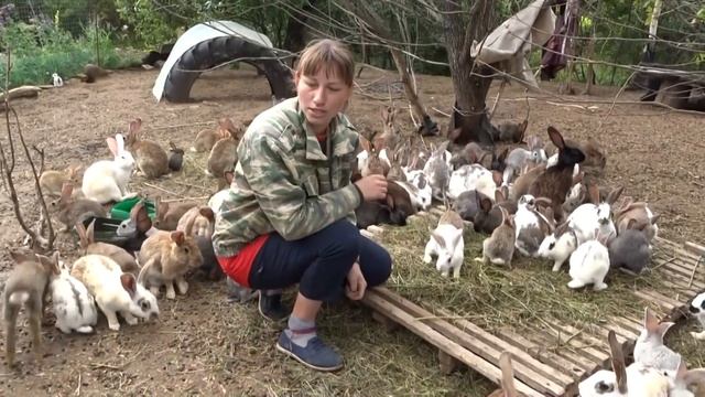 МОИ РУЧНЫЕ КРОЛИКИ\/содержание кроликов в вольере и как их поймать/// смотреть онлайн