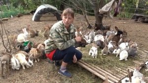 МОИ РУЧНЫЕ КРОЛИКИ\/содержание кроликов в вольере и как их поймать///