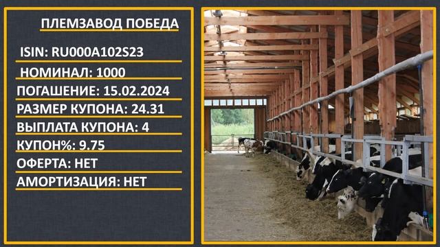 Высокодоходные облигации на Мосбирже (февраль-март 2021) смотреть онлайн