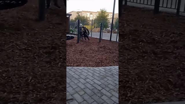 веля прыгнул смотреть онлайн