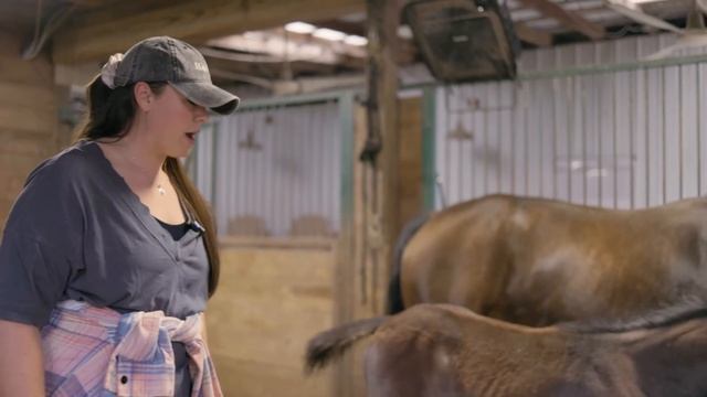 Meet All 18 of My Horses! смотреть онлайн