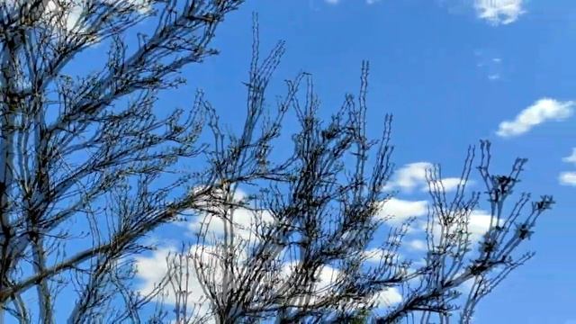 Что можно и нельзя делать на Красную горку 9 мая 2021 года? смотреть онлайн