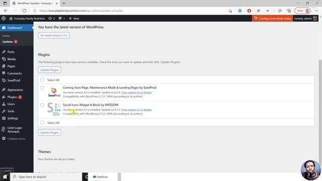 How to Automatically Update WordPress Plugins смотреть онлайн