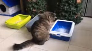 Новосибирск