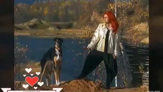 Фотосессия собаками цена в Москве, 8(916)702-11-08 смотреть онлайн