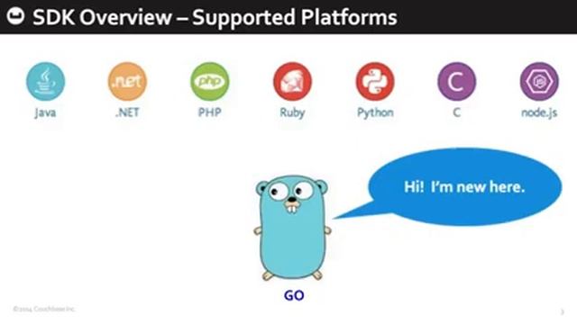 Couchbase Golang SDK Overview смотреть онлайн