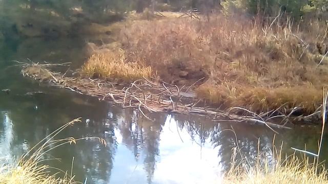 Запомните эти слова Учителя. Система Учителя Иванова. смотреть онлайн