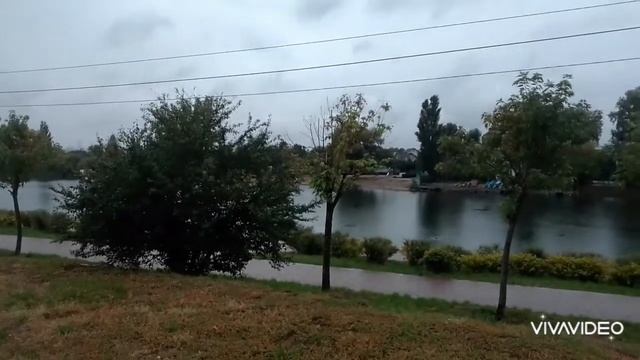 Съездили по подсолнечное масло (49 гривен литр) а очищенное по (57 гривен литр) разливное. смотреть онлайн