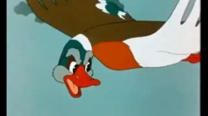 Лягушка - путешественница