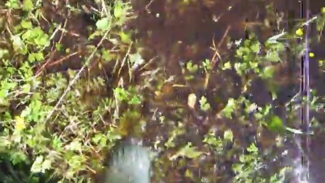 По воде в резиновых сапогах \  On Water With Gumboots