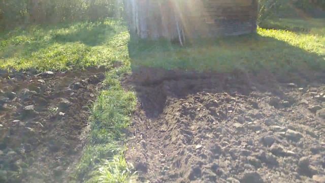 Хорошо в деревне утром