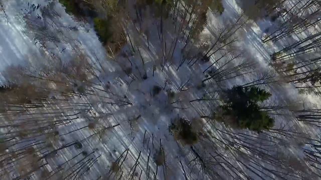 у Дачный полёт над... смотреть онлайн