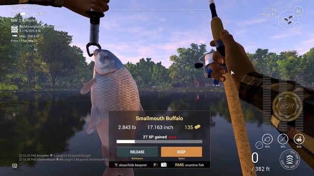 BEST HOTSPOT 2022 | SMALLMOUTH BUFFALO | LONESTAR | XP MONEY GRIND Guide lvl 1-10 | Fishing Planet смотреть онлайн