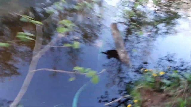 Обзор. Каркасный бассейн третий сезон. Frame pool. Bassein Bestway 457×122 см. смотреть онлайн