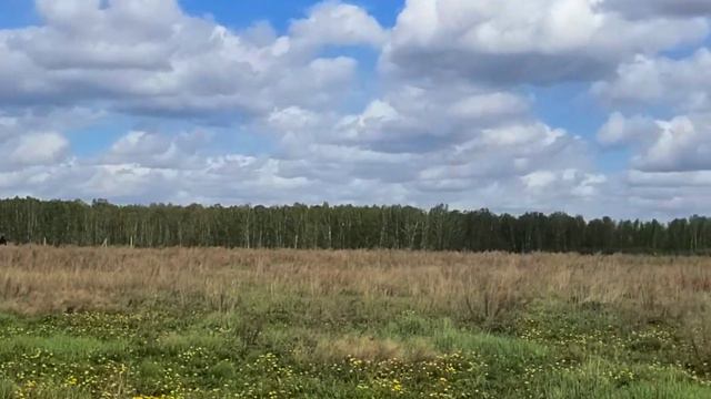 5644119 смотреть онлайн