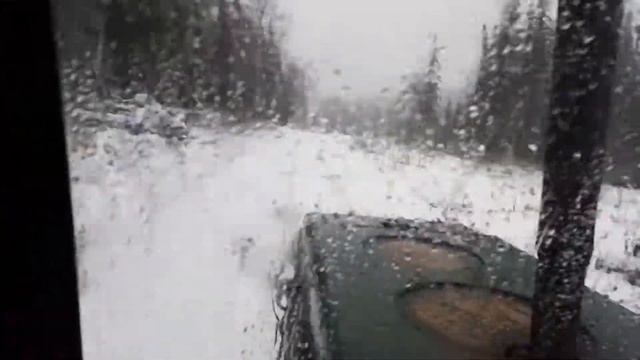 Выезжаем из леса(короткий видос) смотреть онлайн