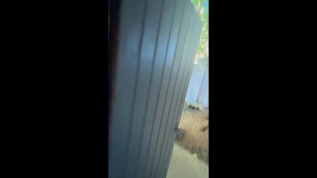мармарис и юлик, видео с дашиного телефона смотреть онлайн