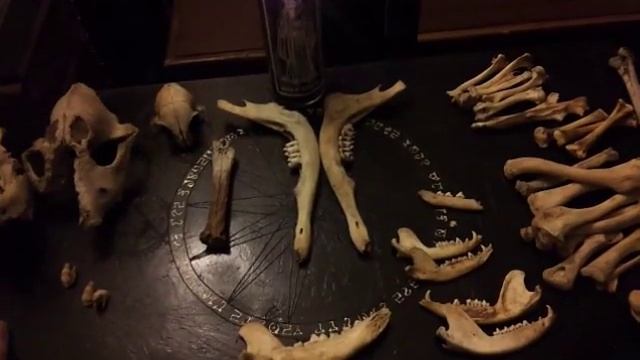 Necromancy Crafts and Latest Oracle from Hekate! смотреть онлайн