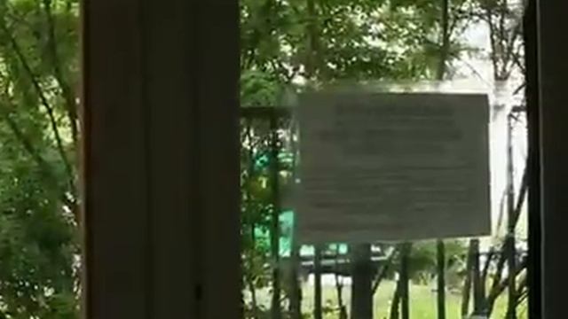 Теория заговора. Колбаса и сосиски 28.06.2015 смотреть онлайн