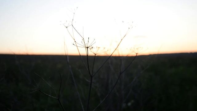 М.Ю. Лермонтов. «Пан». Видеозарисовка смотреть онлайн