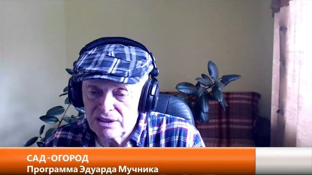 Дача в Америке. Апрель в огороде: что надо успеть. Первый урок цветовода. Выбираем ревень! смотреть онлайн