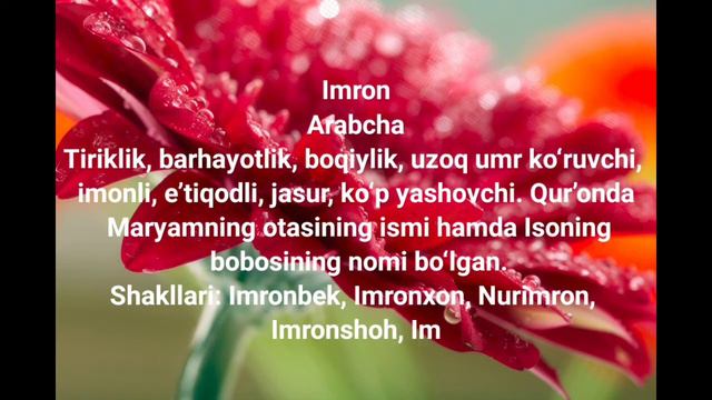 Imron Ismining Maʼnosi