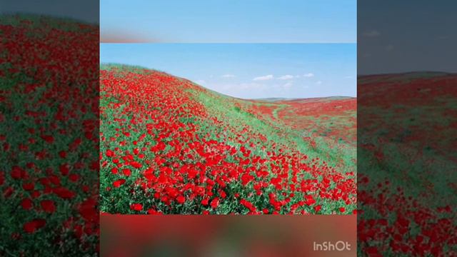 Классный час: Горжусь собой, своей семьей, своей страной» смотреть онлайн