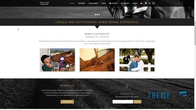 Horse Club - Equestrian WordPress Theme Todd Hallam смотреть онлайн