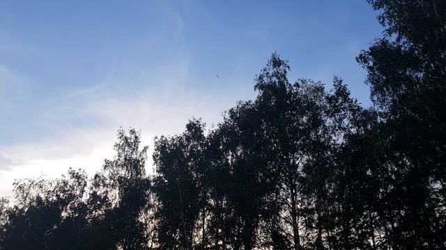 Странный объект в небе 2 ( 21.06.19 Московская область) смотреть онлайн