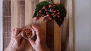 ГОТОВИМ МАСЛО ИЗ ПЛОДОВ ШИПОВНИКА. МАСЛО ШИПОВНИКА В КОСМЕТОЛОГИИ