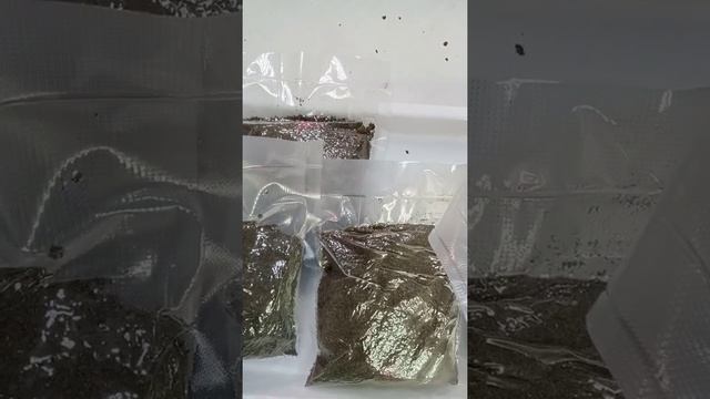сушёная чёрная львинка в вакуумной упаковке смотреть онлайн