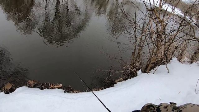 Десна. Первый голавлик 2024. Тестирование воблеров Jackall Timon Chibi PaniCra 25DR