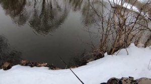 Десна. Первый голавлик 2024. Тестирование воблеров Jackall Timon Chibi PaniCra 25DR