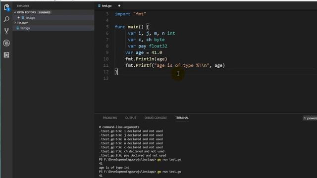 Go lang Static and Dynamic Inferred Variables смотреть онлайн